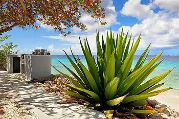 Summer Dreams Ocean Club Bonaire 3*,  Bonaire, Saint Eustatius y Saba